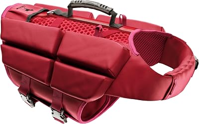 Noah & Paw hundflytväst, flytväst för hundar enligt mänskliga standarder, simväst för hundar, 3x skumstöd för maximal flytkraft, andningsbart nät, Veste de Flottaison pour Chien (storlek XL)