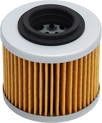 Cnornus Oljefilter för F650GS F650 GS650 2001 2002 2003 G650GS 2009–2015 för Aprilia Pegaso 650 652 1993–2000/026185 11412343118
