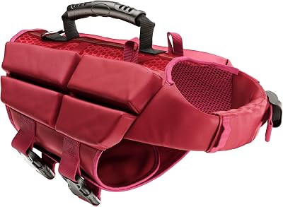 Noah & Paw hundflytväst, flytväst för hundar enligt mänskliga standarder, simväst för hundar, 3x skumstöd för maximal flytkraft, andningsbart nät, Veste de Flottaison pour Chien (storlek XS)
