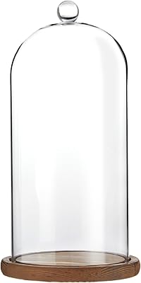 28 cm Cloche glaskupol med bas för växter, mat och ljus (13 x 13 cm)