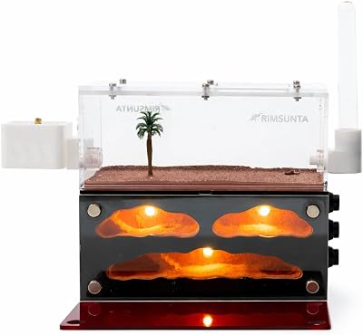 ant Farm for Live Ants - for Small Ant Clone - Natural Le...