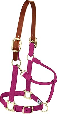 Weaver Leather Justerbar Säkerhetsgrimma för hästar, i nylon, för unghästar, magenta (Raspberry)