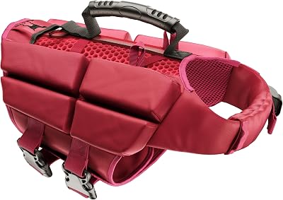 Noah & Paw hundflytväst, flytväst för hundar enligt mänskliga standarder, simväst för hundar, 3x skumstöd för maximal flytkraft, andningsbart nät, Veste de Flottaison pour Chien (storlek S)