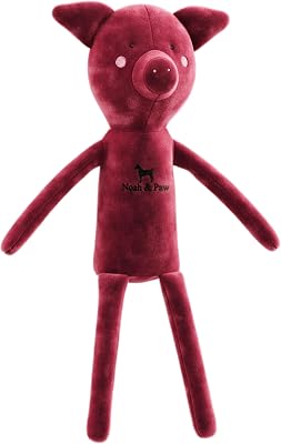 Noah & Paw Lyxig hundleksakskorg-set, gosedjur för hundar, barnleksaker, valpleksaker med förstärkta sömmar för små hundar, perfekt som babypresent, födelsedagsleksak för hundar